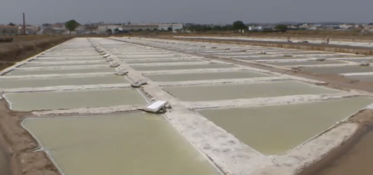 Salinas estão a ser alvo de estudo no Algarve