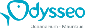 Odyseo Oceanarium - Mauritius